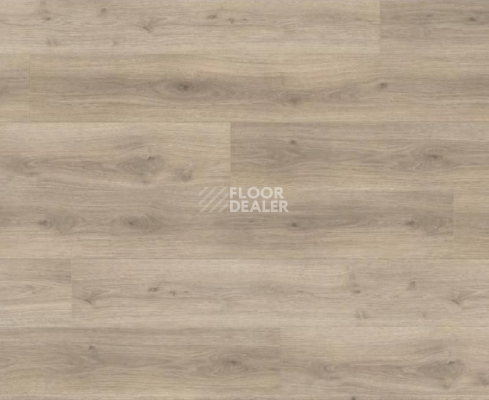 Ламинат Haro Tritty 100 Gran Via 4V ДУБ ЭМИЛИЯ ВЕЛЬВЕТ СЕРЫЙ 538770 фото 1 | FLOORDEALER